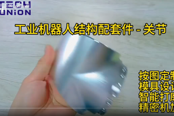 壓鑄一次成型機器人關節