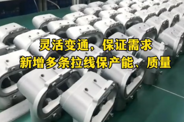靈活變通，保證需求-新增多條拉線，保產(chǎn)能、保質(zhì)量